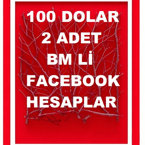  100 DOLAR LİMİTLİ 2 BM Lİ FACEBOOK HESAPLAR